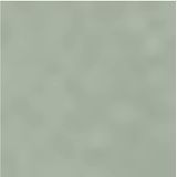 America Today - Jailey - Dames Jas - Gewatteerd - Met Kraag en Verstelbare Capuchon