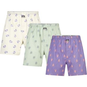 America Today - Thomas 3P - Boxershort - Heren