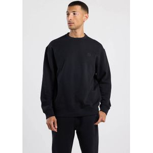 America Today - Sealey Crew - Heren Sweater