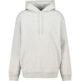 America Today - Sealey - Heren Hoodie