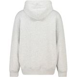 America Today - Sweatvest - Grijs - Met Capuchon - Lange Mouwen