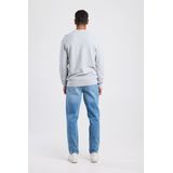 America Today - Kain - Trui - Light Grey Melange - Biologisch Katoen