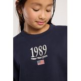 America Today - Sweater - Blauw