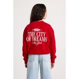 JACK&JONES JJIARUBA JJSWIMSHORTS - Heren Zwembroek - Roze - Korte Bloemenprint