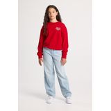 JACK&JONES JJIARUBA JJSWIMSHORTS - Heren Zwembroek - Roze - Korte Bloemenprint