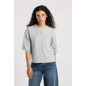 America Today - Cardigan - Grijs - Gebreid