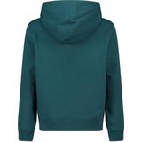 America Today - Hoodie - Groen - Met Capuchon - Lange Mouwen