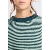 America Today - Gebreide Trui