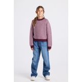 America Today - Kelly Jr - Sweater - Ronde Hals - All-over Streepdessin