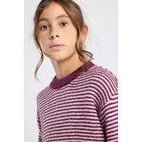 America Today - Kelly Jr - Sweater - Ronde Hals - All-over Streepdessin