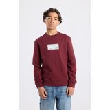 America Today - Stephan Crew JR - Jongens Trui