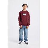 America Today - Stephan Crew JR - Jongens Trui