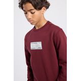 America Today - Stephan Crew JR - Jongens Trui