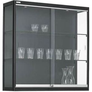 Wandvitrine 2 legborden 100x100x30cm Zwart