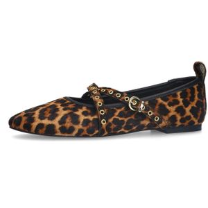 Sacha - Ballerina's - Bruin - Leer - Luipaardprint met Studs