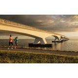 Rogelli - Core - Sportshirt - Coral - Korte Mouwen - Dames