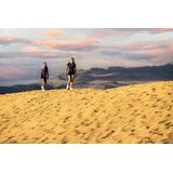 Rogelli - Marble - Dames-T-shirt - Sneldrogend - Korte Mouwen