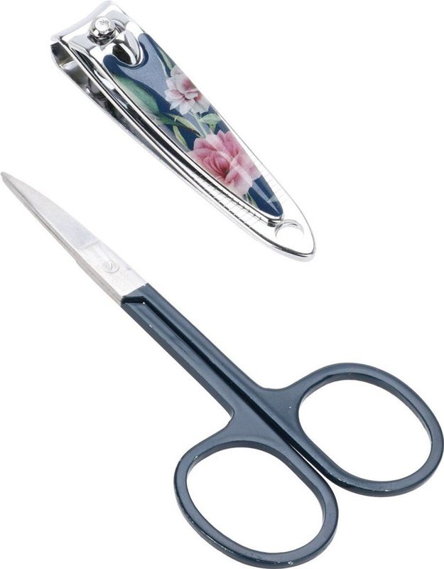 Eleganza - Nagelschaar - Zilver - RVS - 2 Delige Set