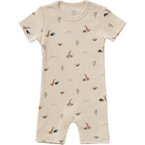 Fresk - Boxpakje - Rabbit Sandshell - Meerkleurig