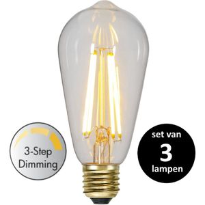 3 standen Edison lamp - 6.5W - set van 3