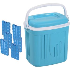 Voordelige normale blauwe koelbox 20 liter met 6x normale koelelementen - Koelboxen