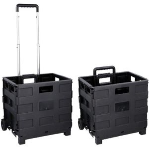 Set van 2x stuks opvouwbare opbergkratten/boodschappentrolleys 36 cm - Opbergkratjes op trolley