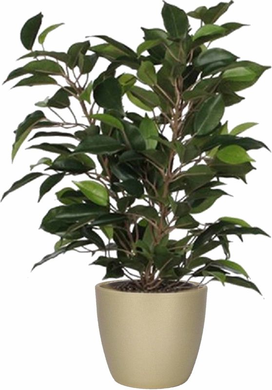 Groene ficus kunstplant 40 cm met plantenpot parelgoud D13.5 en H12.5 cm