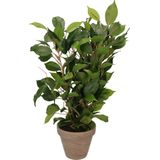 Groene ficus kunstplant 40 cm met plantenpot dennengroen D13.5 en H12.5 cm