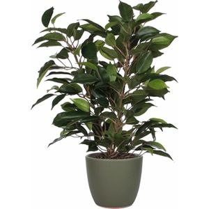 Groene ficus kunstplant 40 cm met plantenpot dennengroen D13.5 en H12.5 cm