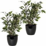2x Stuks Groen/Witte Ficus Kunstplanten 40 cm met Plantenpot Zwart D13.5 en H12.5 cm