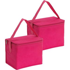 2x stuks kleine koeltassen voor lunch roze 20 x 13 x 17 cm 4.5 liter - Koeltassen