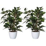 2x stuks groene ficus kunstplant 40 cm met plantenpot glanzend wit D13.5 en H12.5 cm