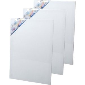 4x stuks canvas schildersdoeken 60 x 40 cm rechthoekig - hobby verven/schilderen - Diy schilderijen maken