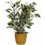 2x Stuks Groen/Witte Ficus Kunstplant 40 cm met Plantenpot Okergeel D13.5 en H12.5 cm