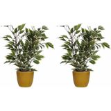 2x Stuks Groen/Witte Ficus Kunstplant 40 cm met Plantenpot Okergeel D13.5 en H12.5 cm