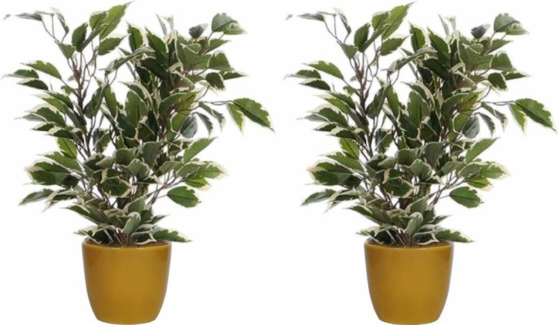 2x Stuks Groen/Witte Ficus Kunstplant 40 cm met Plantenpot Okergeel D13.5 en H12.5 cm