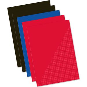 Pakket van 10x stuks schoolschriften A4 - ruitjes/wiskunde en lijntjes schriften gekleurd