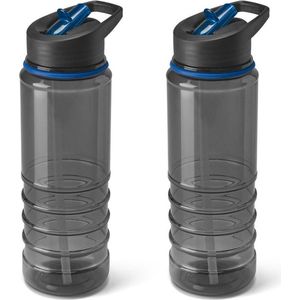 2x Stuks kunststof waterfles/drinkfles transparant zwart/blauw met rietje 650 ml - Sportfles - Bidon