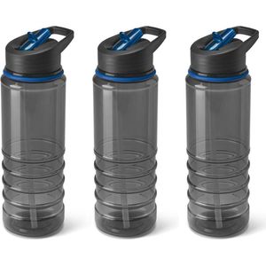 3x Stuks kunststof waterfles/drinkfles transparant zwart/blauw met rietje 650 ml - Sportfles - Bidon