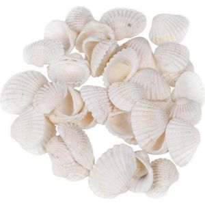 3x zakjes decoratie/hobby witte schelpen 100 gram - Maritiem/zee/strand thema