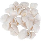5x zakjes decoratie/hobby witte schelpen 100 gram - Maritiem/zee/strand thema
