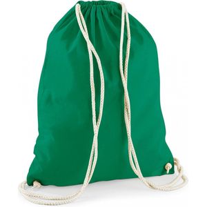 2x stuks sporten/zwemmen/festival gymtas groen met rijgkoord 46 x 37 cm van 100% katoen - Kinder sporttasjes