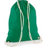 10x stuks sporten/zwemmen/festival gymtas groen met rijgkoord 46 x 37 cm van 100% katoen - Kinder sporttasjes