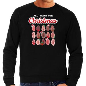 Bellatio Decorations foute kersttrui/sweater voor heren - All I want for Christmas - vagina - zwart S