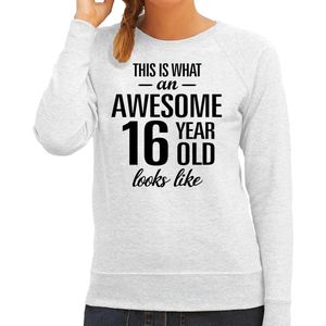 Awesome - geweldige cadeau sweater grijs dames - Verjaardag cadeau trui