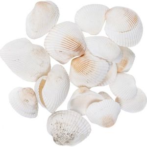 Decoratie/hobby schelpen wit 500 gram - Maritiem/zee/strand thema versiering