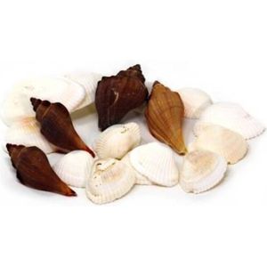 Decoratie/hobby zee schelpen wit/bruin klein 300 gram - decoratief-figuur