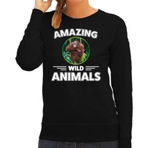 Sweater aap - zwart - dames - amazing wild animals - cadeau trui aap / orang oetan apen liefhebber