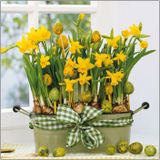 Pasen tafeldecoratie set geel tafelkleed 138 x 220 cm en 20x paas thema servetten met narcissen bloemen print