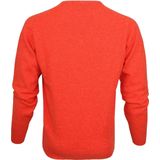 William Lockie - V-neck - Lamswol - Oranje - Pullovers